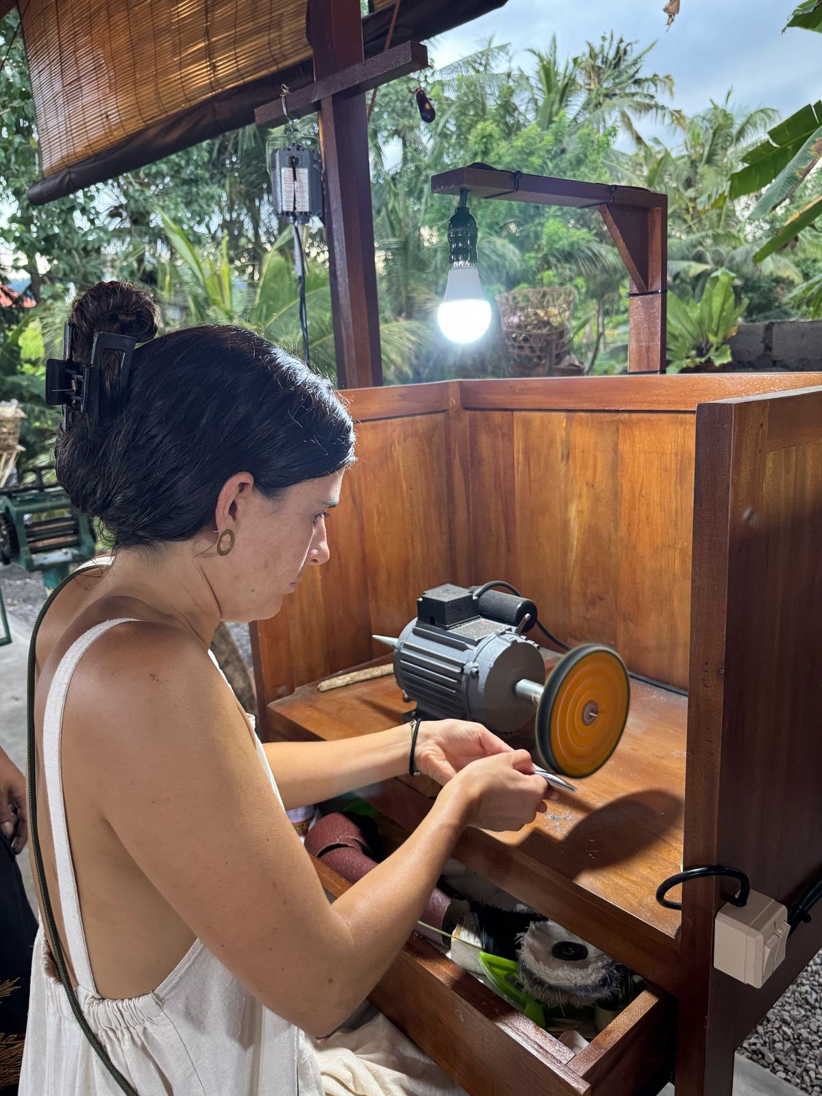 Description of image 3